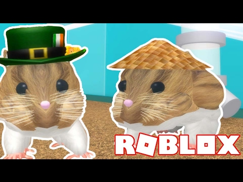 Roblox Hamster Simulator Itsfunneh